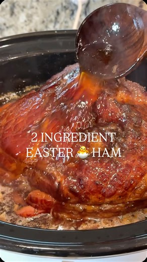 Jenna Neumann on Instagram: "The easiest & most delicious ham you’ll have this Easter! 🐣 Let’s make it👇: •2 cups brown sugar •1 8lb bone in ham •Add 1.5 cups of brown sugar to the bottom of your slow cooker and the remaining on the outside of your ham. Cook low for 8 hours. #ham #easter #easterdinner #slowcooker #crockpot #crockpotmeals #easyrecipes #twoingredients"