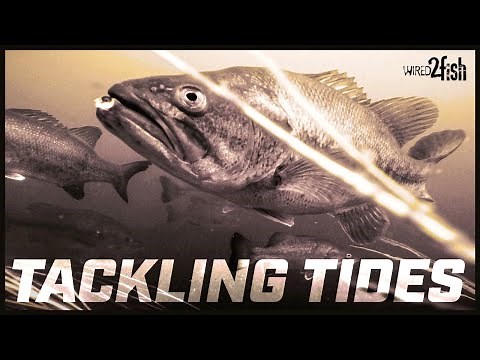 Fishing Tidal Waters For Bass | What To Look For (Cal Delta)