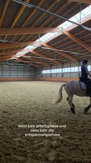 How do you structure your training? #horse #tinker #equestrian #training