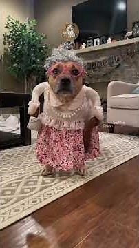 Funny Cats in Boxes Compilation 😸📦