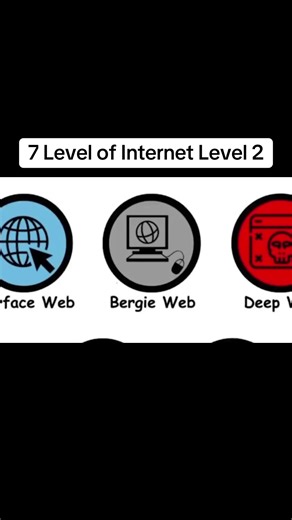 7 Level of Internet Level 2