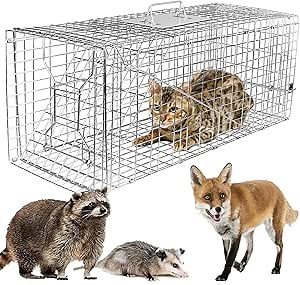Live Animal Trap Cage, Large Humane Cat Trap Catch Release Animal Rodent Cage, Collapsible One-Door Animal Catcher Cage for Raccoons Opossums Groundhogs Skunks Cats Squirrels - 30.51ｘ11.02 ｘ11.81inch
