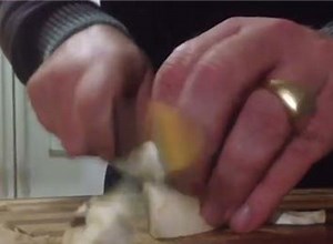 Mushroom World Records