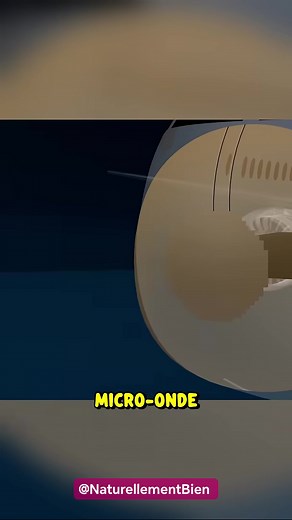 50K views · 646 reactions | ✈️ Le secret caché sous le nez des...