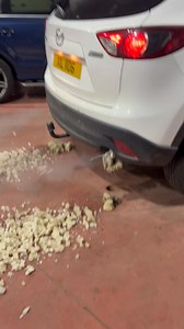 Launch DPF cleaning gun for the win! | The Car Nerd