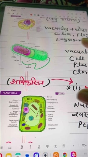 Best Note Taking Tablet..? #shots #study #tablet #viralshorts #students