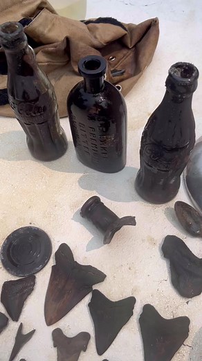Rare bottles found! #rare #bottle #history | Gone Diggin