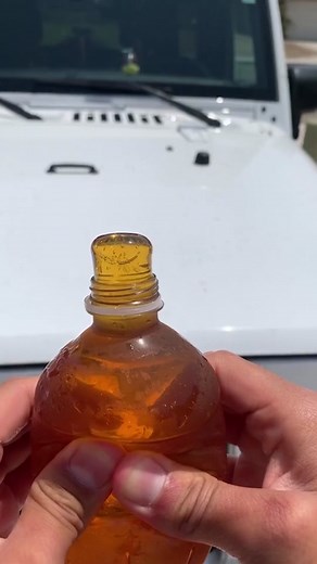 Honey 🍯, das musst du probieren! 🐝 @mohi__07 #HOFERstyle #hoferat