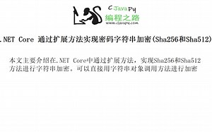 .NET Core 通过扩展方法实现密码字符串加密(Sha256和Sha512)
