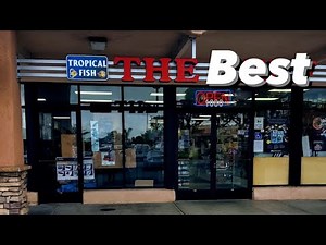 My Top 6 BEST Local Fish Stores in Southern California
