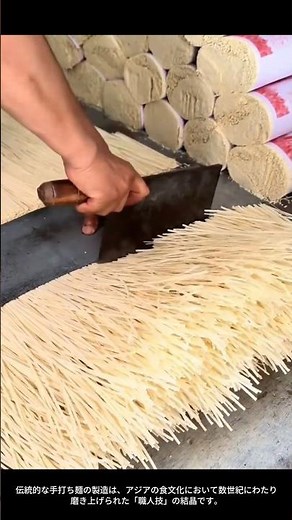 【現場の知恵】伝統的な手打ち麺（手製麺）の製造技術：職人の技と小麦の対話