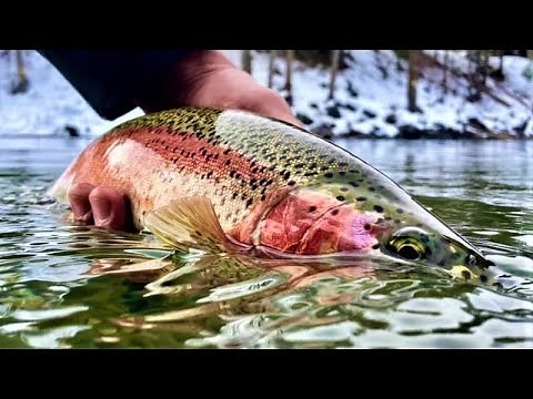Fly Fishing & Floating the Yakima River - Washington's Blue Ribbon Trout Stream