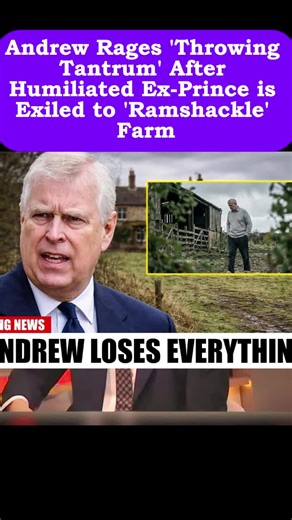 Andrew Rages 'Throwing Tantrum' After Humiliated Ex-Prince is Exiled to 'Ramshackle' Farm#JonBenét #news #celebrity