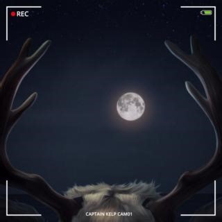 199 reactions · 42 shares |  #BCFHeadsUp  [Captain Kelp Cam01] – [Incoming transmission]: #BCFerries Operations and Security Centre is receiving the first live update from Captain Kelp, a BC reindeer equipped with a camera, who is helping us monitoring the skies throughout the coast tonight. He is tracking the scent of cinnamon and freshly baked cookies heading towards #BellaCoola. Could it be?   | BC Ferries | Facebook