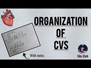 Organisation of CVS - Guyton Completely Explained
