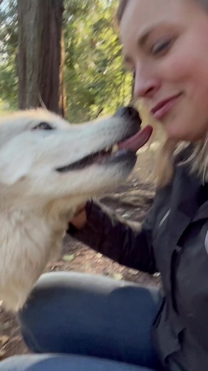 Wolf Kissing: A Love Story