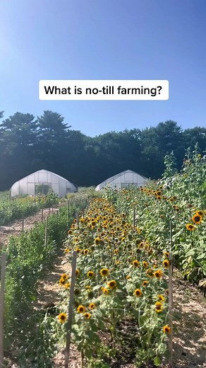 Understanding No-Till and Organic Farming Practices