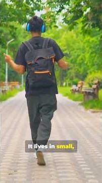 Scripting Destiny: How to Live Your God-Given Purpose #inspiration #biblestory