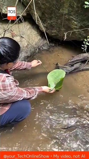 LEAF TRAP primitive fishing trick 😮🍃🐟 #shorts #skills #crafts #outdoor #satisfying