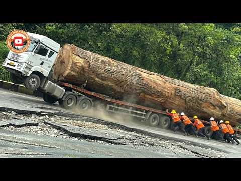 The Most Dangerous Truck Off-Road Moments – Muddy Roads, Collapsing Bridges & Deadly Curves!