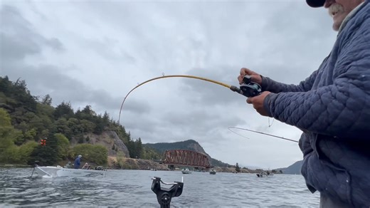 120K views · 1.1K reactions | SMALL ROD BIG FISH 7’6 Kokanee stick putting in work | Flatout Fishing | Facebook