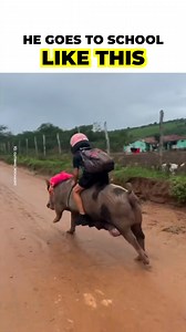 A video of a kid riding a pig went viral on social media. Some people thought it was something out of science fiction, but it wasn't. This is how he gets to school every day ❤️ | Positive