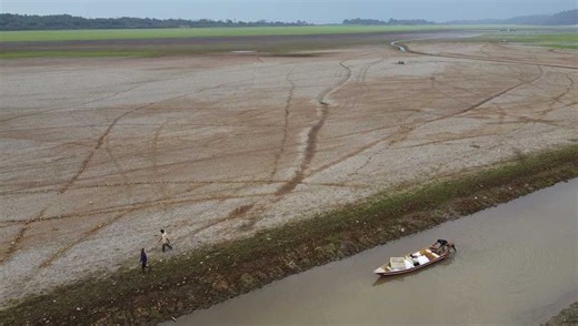 Drought, fires and deforestation battered Amazon rainforest in 2024