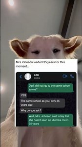 Mr.Johnson did him dirty💀💀 #dog #memes #message #story #trollface