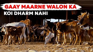 1.3M views · 34K reactions | Sirf ek hi dharm hai jisko ham gaay ki...