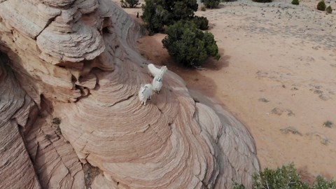 Nature's Masterpiece: Exploring Ethereal Antelope Canyon