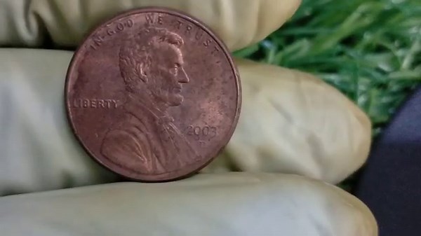 2003 Lincoln Penny Value – Rare One Cent Coins & Errors Worth Money!