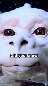 Did you know for The Never Ending Story? #theneverendingstory #movie #movies #movieclips | Movie Marble