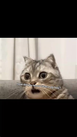 Identifying a PG Boy: The Tell-Tale Signs