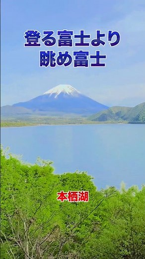 Better to View Fuji Than to Climb It: Lake Motosu #MountFuji #LakeMotosu #SuperbView #shorts