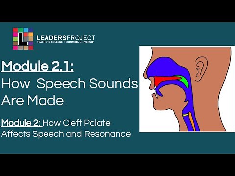 Module 2.1- Cleft Palate Speech and Feeding: How Speech Sounds Are Made