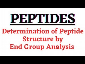 End Group Analysis Of Peptide Structure | Determination of Peptide Structure | Peptide ||