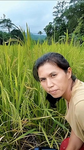 Sprayer mini canggih untuk alat semprot pertanian/Advanced mini sprayer for agricultural spraying equipment #kontenai #editingai #alatpertanian #mesincanggih #sprayer #alatsemprot | Ernawati Pandiangan