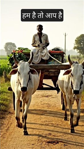 Farmers Life | Best farming video | Ai farming video