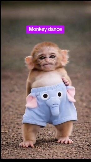 monkey dance ang galing