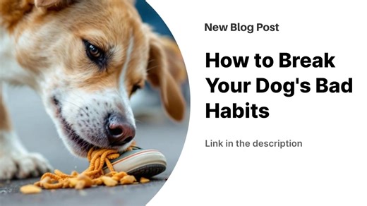 Breaking bad dog habits requires understanding root causes and using positive reinforcement techniques. Consistency, timing, and rewards are key elements in modifying behavior effectively. Specific strategies can address common issues like barking, chewing, jumping, and begging. Patience and dedication lead to lasting behavioral changes and a stronger bond with your pet. https://www.dogingtonpost.com/how-to-break-your-dogs-bad-habits/ | The Dogington Post | Facebook