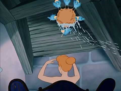 Cinderella sponge shower