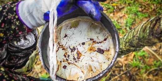 Sơn mài is a costly form of lacquer painting in Vietnam. Here's what makes these paintings so expensive