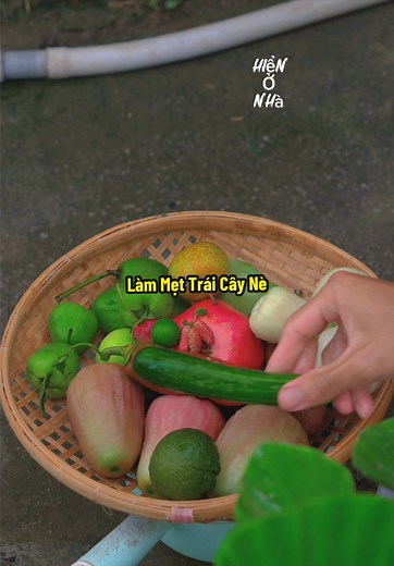 Thu hoạch 100 loại trái cây làm mẹt ăn
