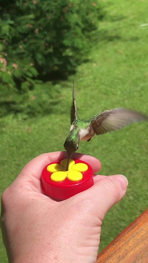 ✨TaYloR ✨ on TikTok