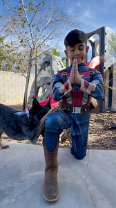 Happy Veterans Day #VeteransDay #thankyou | Super Cattledogs