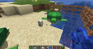 Minecraft: How To Breed Turtles