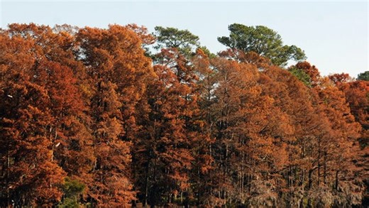 Cooler weather is coming to Delaware. How to set your thermostat