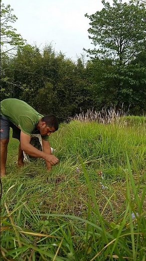 Wari Jamuna Paari Jamuna/Khem Gurung#गाँउमाघरछ #lokgeet #nepalisong #villagelife