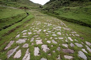 Activity 13: Inquiry