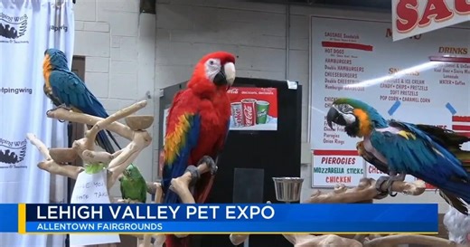 Popular event focused on pets set to draw families in from cold in Allentown